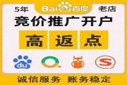 SEM服务托管：提升广告效果的成功案例解析